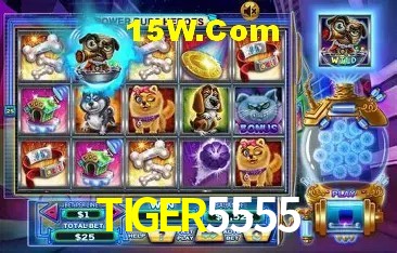 Seasonal Promotions TIGER5555
