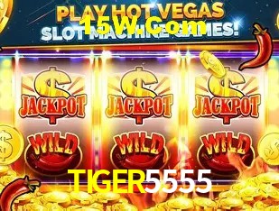 API Integration TIGER5555