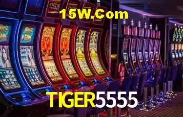 Statistics TIGER5555