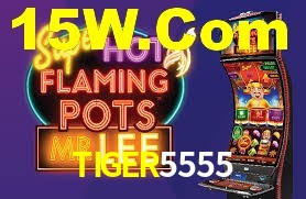 TIGER5555