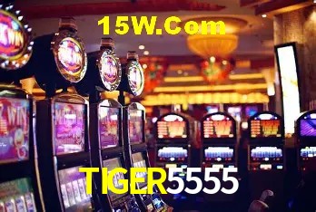 Game Providers TIGER5555
