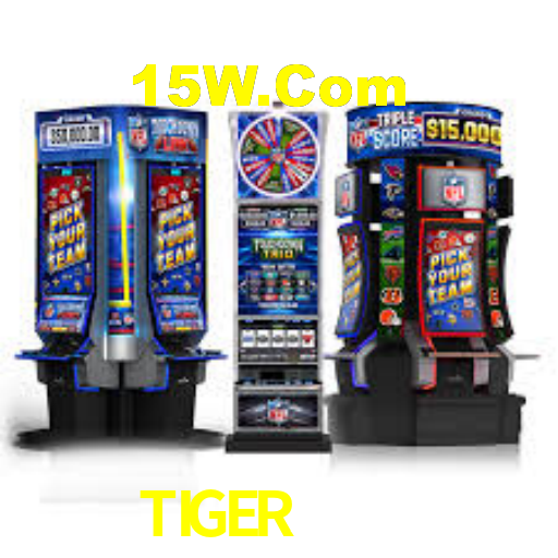 TIGER 5555 BET