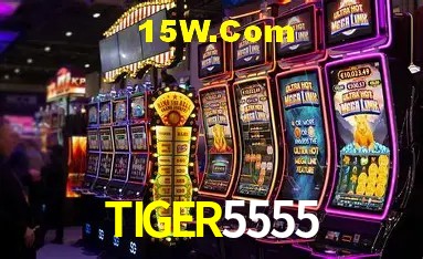 Live Casino TIGER5555
