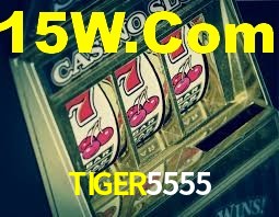 Premium Interface TIGER5555