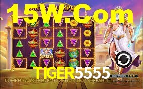 Explore as vantagens do TIGER5555: serviço profissional e confiabilidade