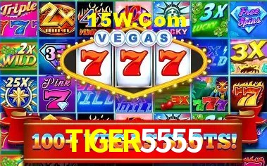 Security Systems TIGER5555