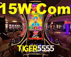 Crash Games Statistics TIGER5555