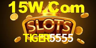TIGER5555 App Interface