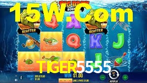 Tournaments TIGER5555