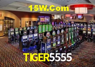 Experiência VIP TIGER5555