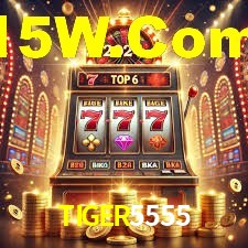 Roulette Table TIGER5555