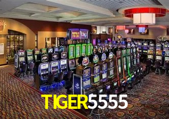 Bonus na Cassino Online TIGER5555