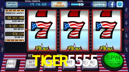 Slots no Site TIGER5555